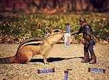 squirrelwithsnickersblast.jpg image by flibertyjibbits